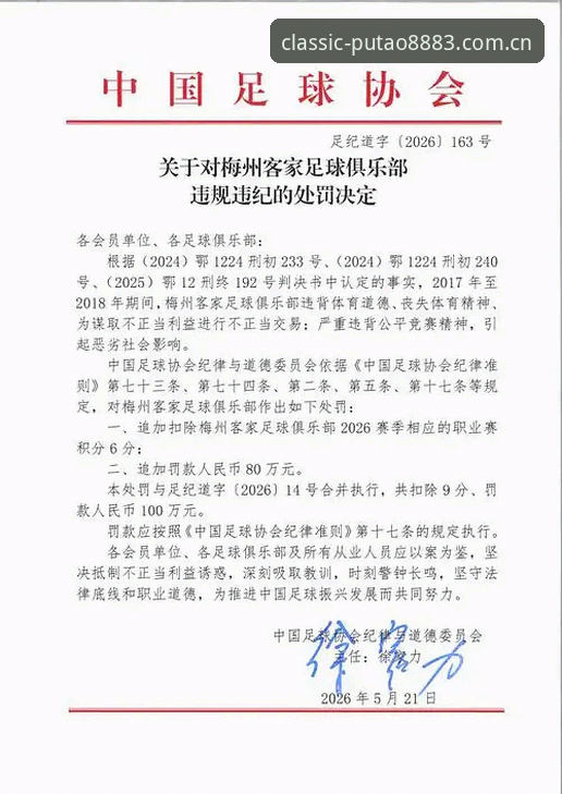 足协禁足名单深度解读：从17人终身禁赛看中国足球整治完整指南